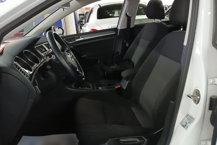 Volkswagen Golf 2019 car image #19