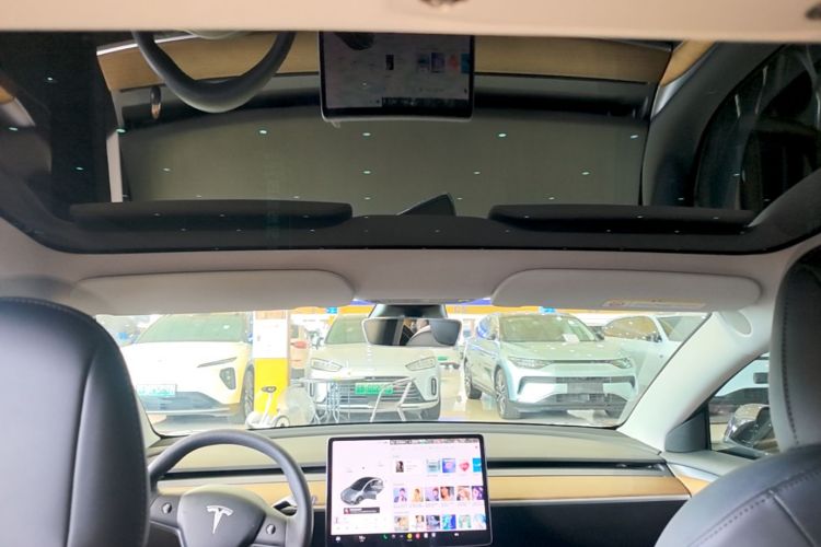 Tesla Model 3 2021 car image #18