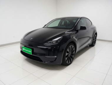 Tesla Model Y 2022 Tesla Model Y 2022 car image