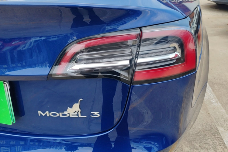 Tesla Model 3 2020 #8 Tesla Model 3 2020 car image #8