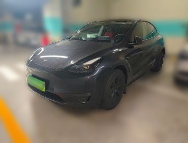 Tesla Model Y 2024 car image 