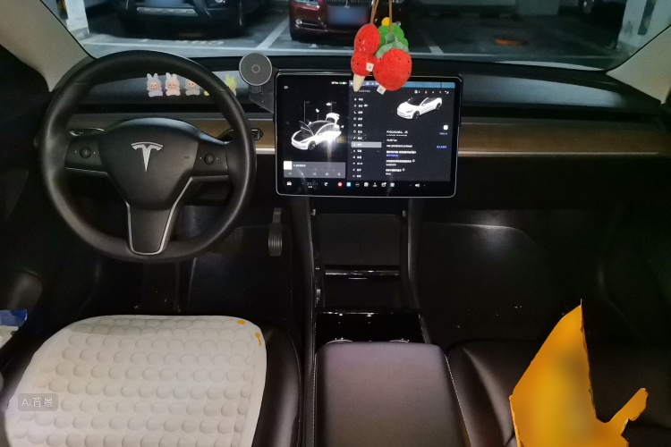 Tesla Model 3 2020 car image #11