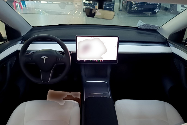 Tesla Model Y 2022 immagine di auto #17
