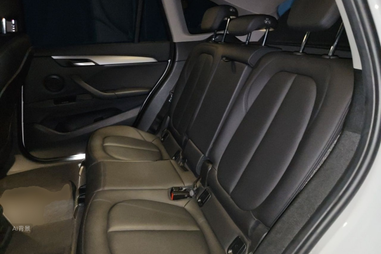 BMW X1 2017 car image #19