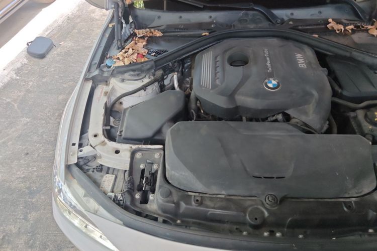 BMW 3 Series 2017 #28 BMW 3 Series 2017 car image #28