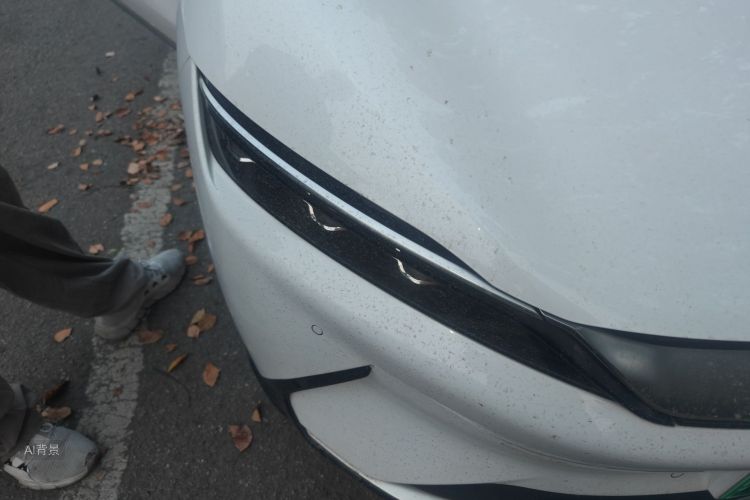 BYD Han 2022 صورة سيارة #8