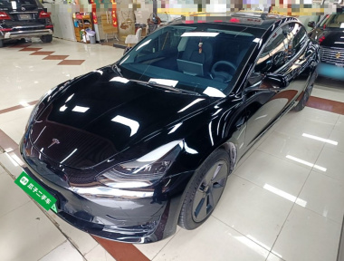 Tesla Model 3 2021 car image 