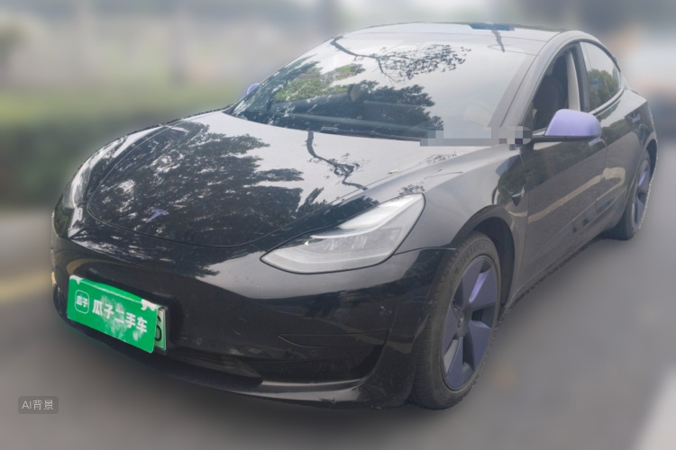 Tesla Model 3 2021 #2 Tesla Model 3 2021 car image #2
