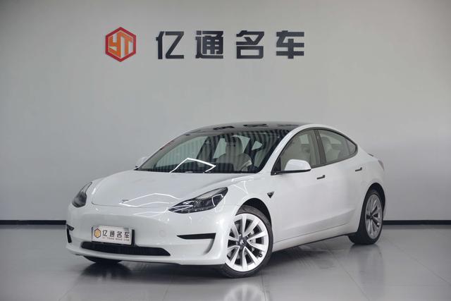 Tesla Model 3 2021 imagem de carro #30