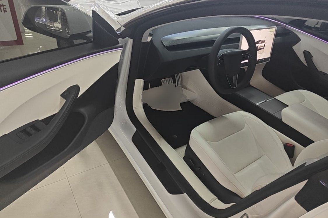 Tesla Model 3 2024 car image #12