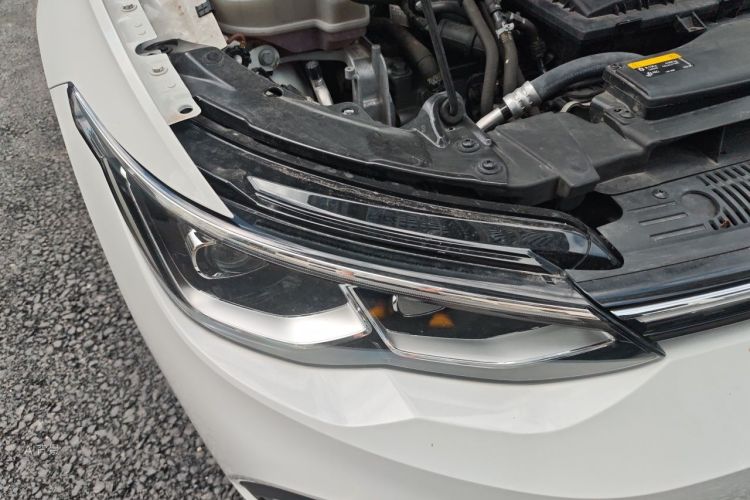 Volkswagen Golf 2022 immagine di auto #8