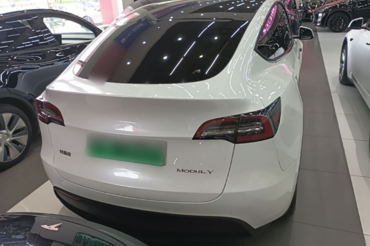 Tesla Model Y 2021 car image #6