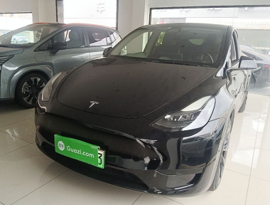 Tesla Model Y 2022 car image 