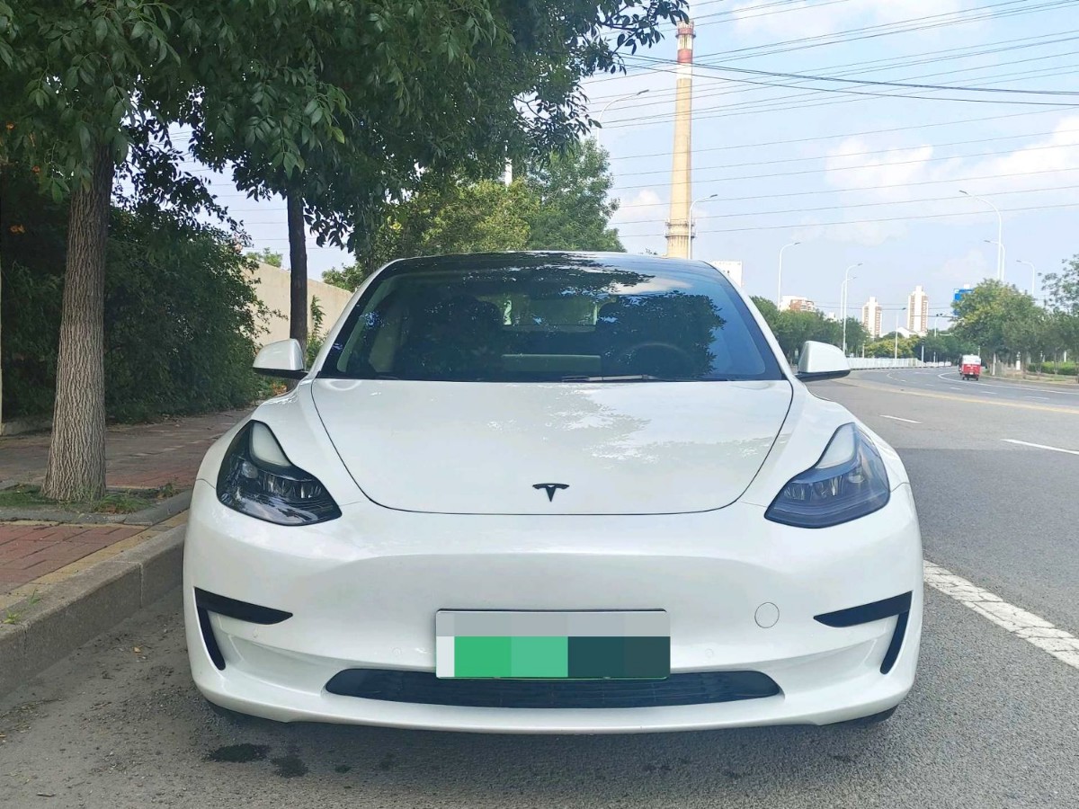 Tesla Model 3 2022 car image #6