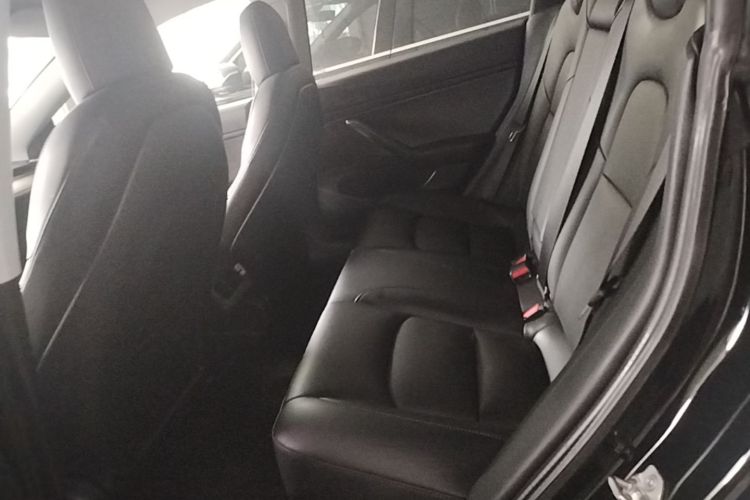 Tesla Model 3 2020 car image #13
