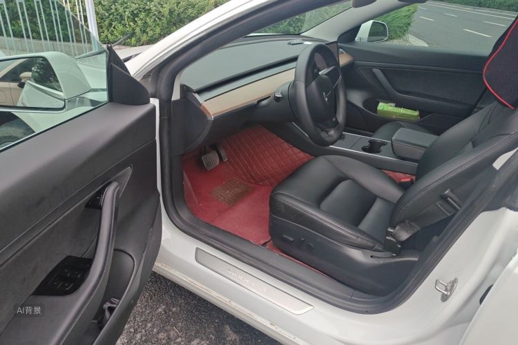 Tesla Model 3 2020 car image #18