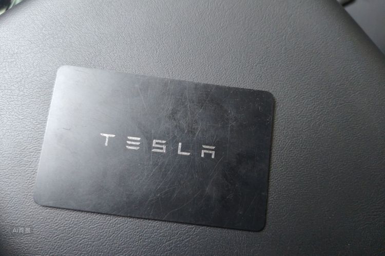 Tesla Model 3 2021 #10 Tesla Model 3 2021 car image #10