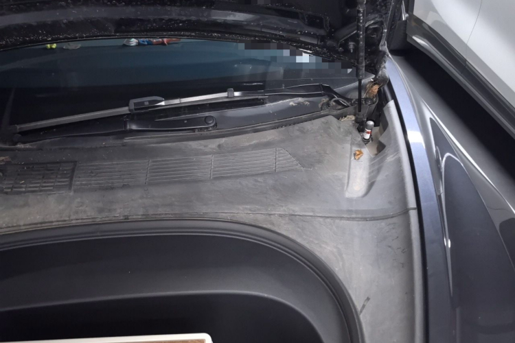 Tesla Model 3 2024 #23 Tesla Model 3 2024 car image #23