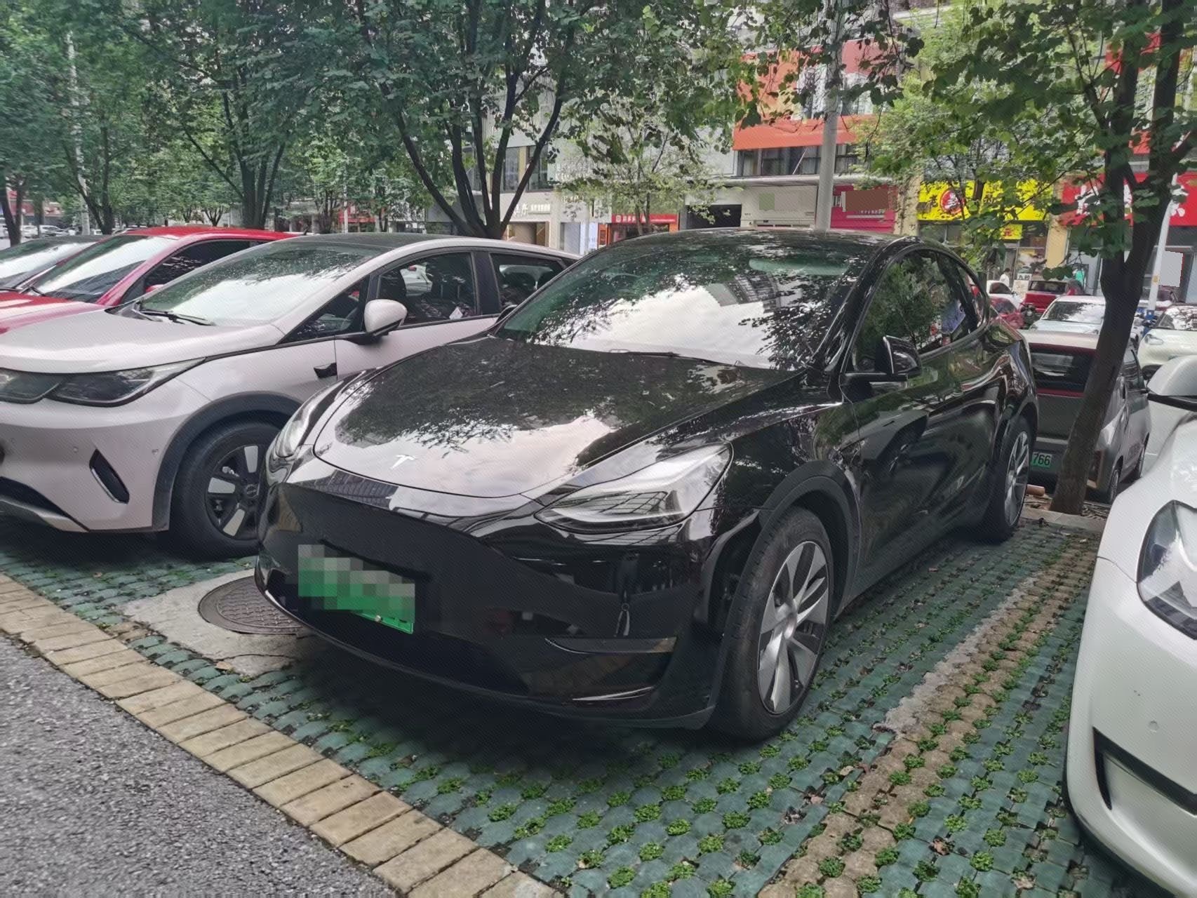 Tesla Model Y 2021 Tesla Model Y 2021 car image