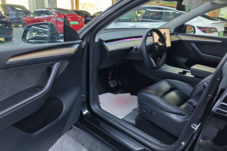 Tesla Model Y 2023 car image #16