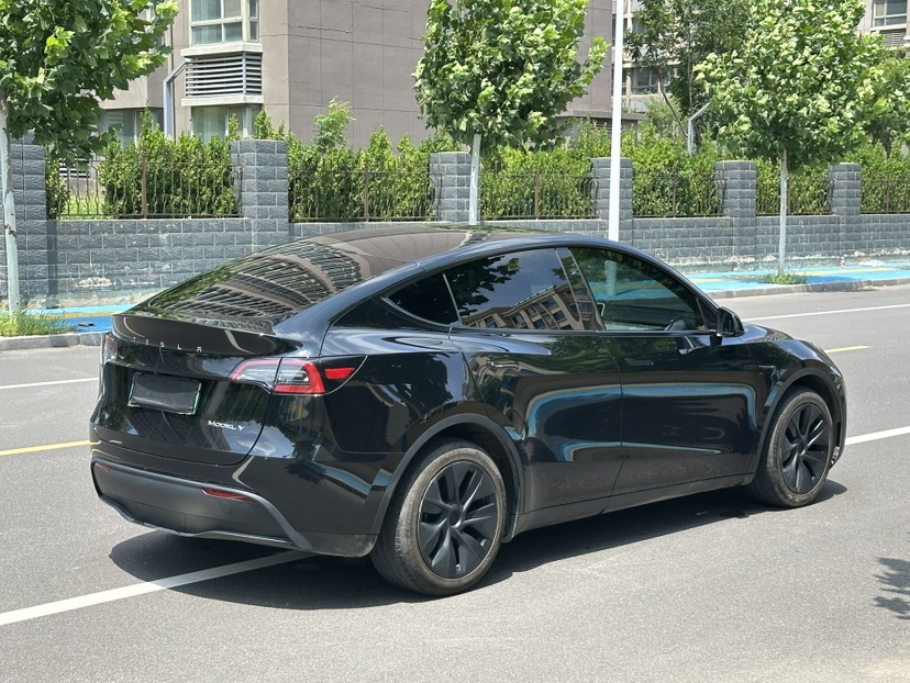 Tesla Model Y 2024 car image #6