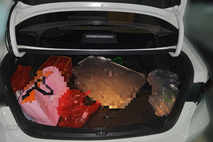 Toyota Corolla 2022 car image #21