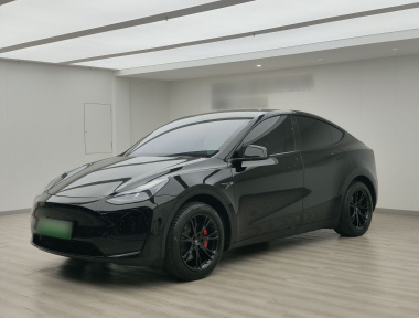 Tesla Model Y 2023 car image 