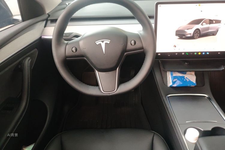 Tesla Model Y 2024 car image #12