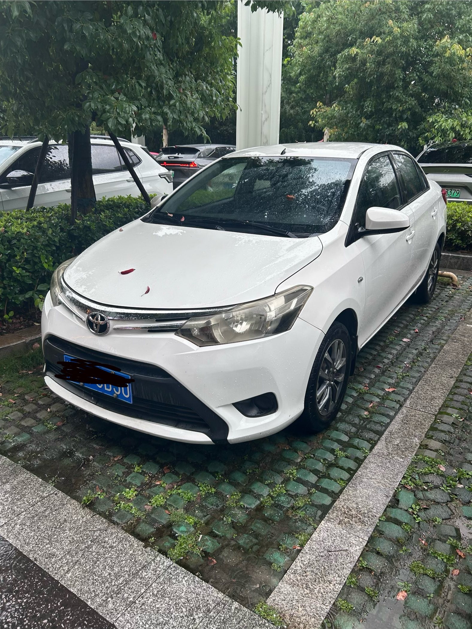 Toyota Vios 2015 Toyota Vios 2015 car image