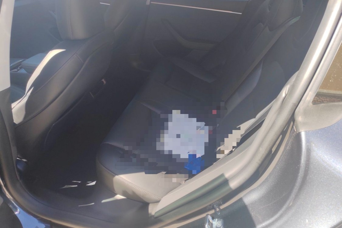 Tesla Model 3 2024 #19 Tesla Model 3 2024 car image #19