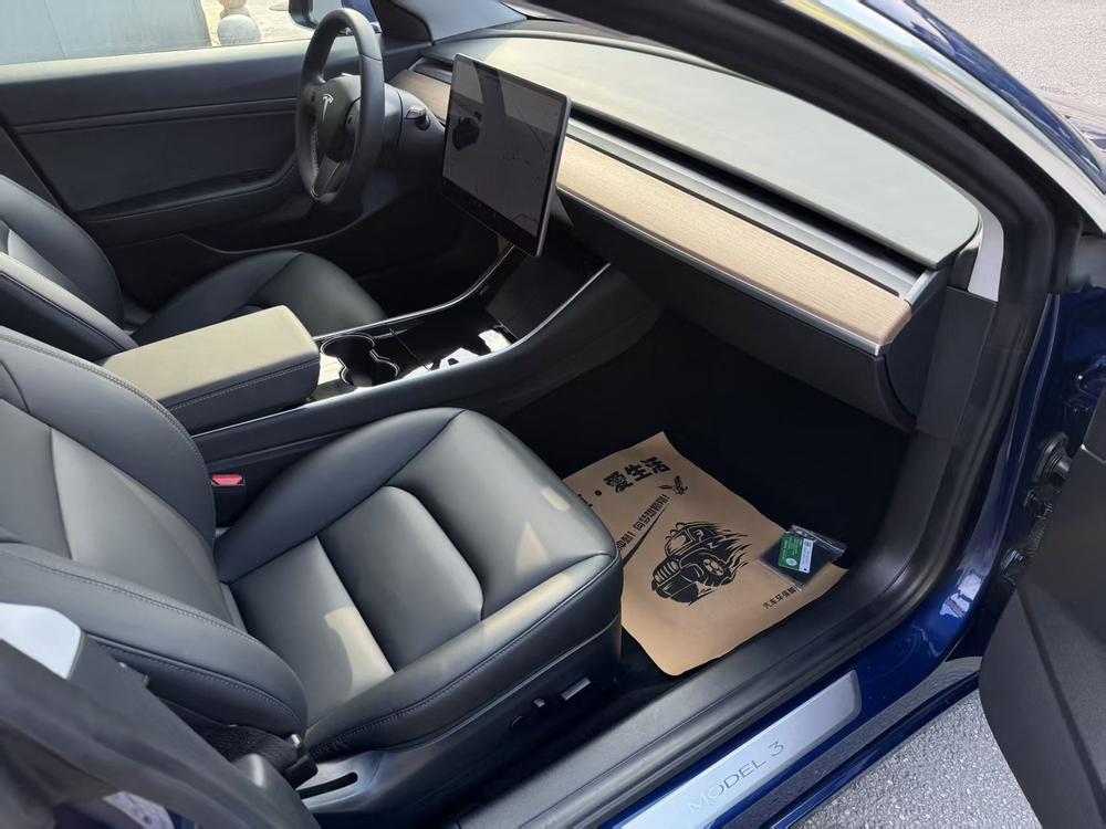 Tesla Model 3 2020 car image #10