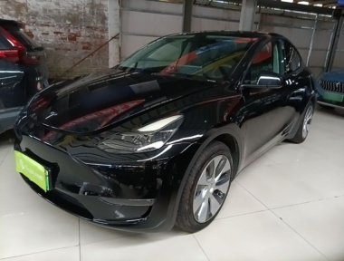 Tesla Model Y 2021 Tesla Model Y 2021 car image