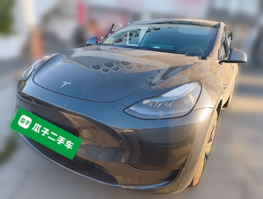 Tesla Model Y 2025 car image 