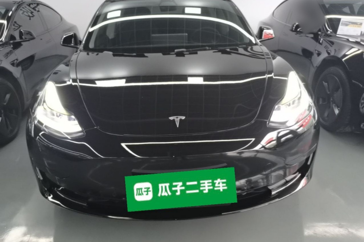 Tesla Model 3 2021 #3 Tesla Model 3 2021 car image #3