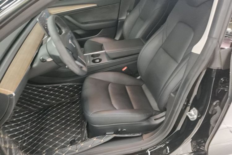 Tesla Model 3 2021 car image #15