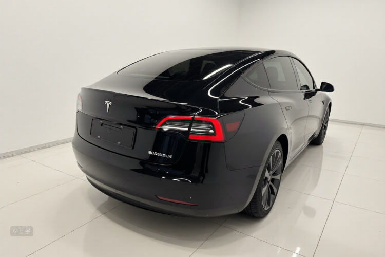 Tesla Model 3 2022 car image #7