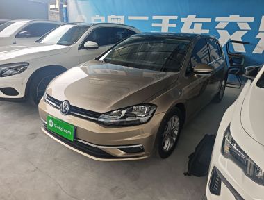 Volkswagen Golf 2019 汽车图片 