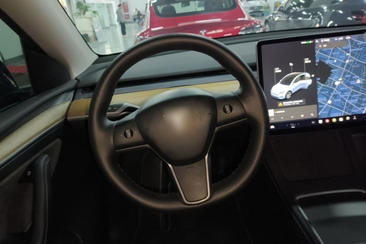Tesla Model Y 2021 #11 Tesla Model Y 2021 car image #11