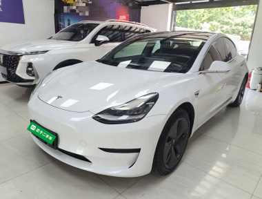 Tesla Model 3 2020 Tesla Model 3 2020 car image