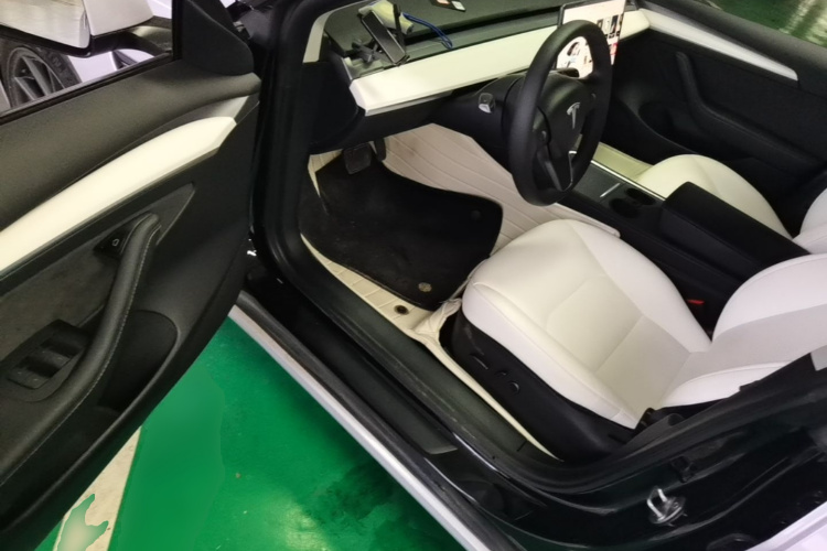 Tesla Model 3 2021 car image #16