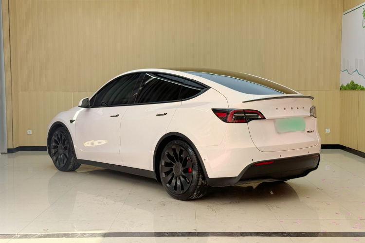 Tesla Model Y 2021 car image #7
