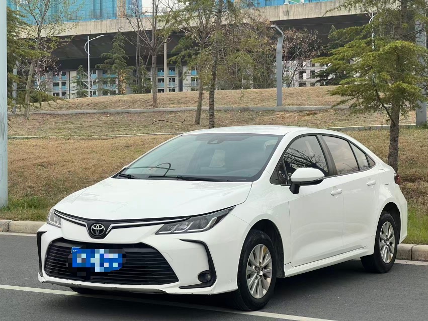 Toyota Corolla 2023 car image 