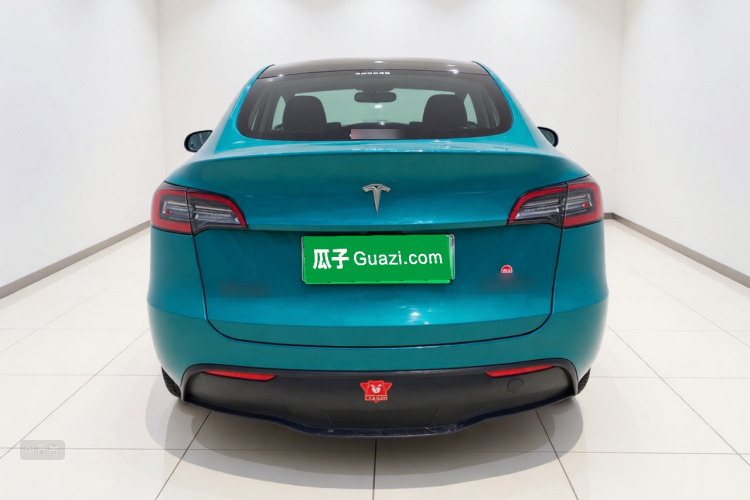 Tesla Model Y 2021 car image #6