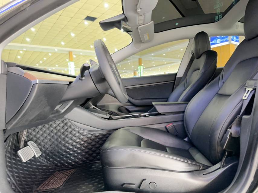 Tesla Model 3 2020 car image #6