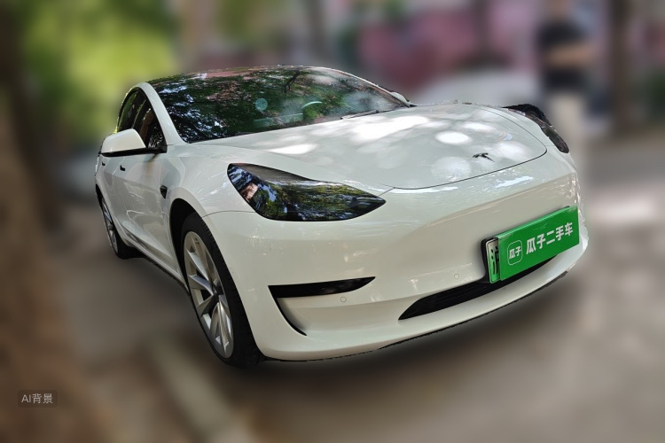 Tesla Model 3 2022 car image #4