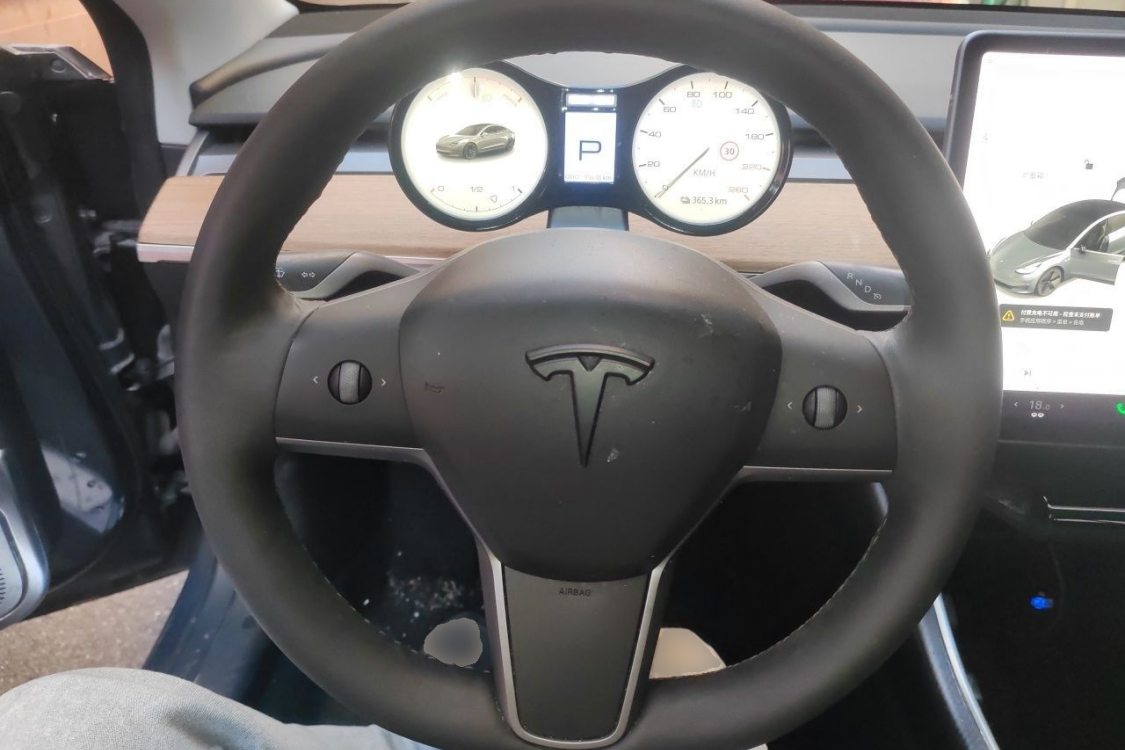 Tesla Model 3 2020 car image #22