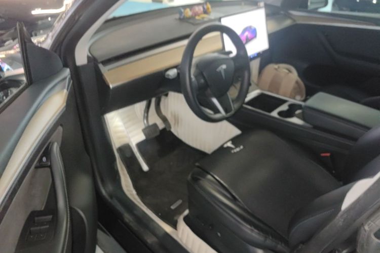 Tesla Model Y 2022 car image #16
