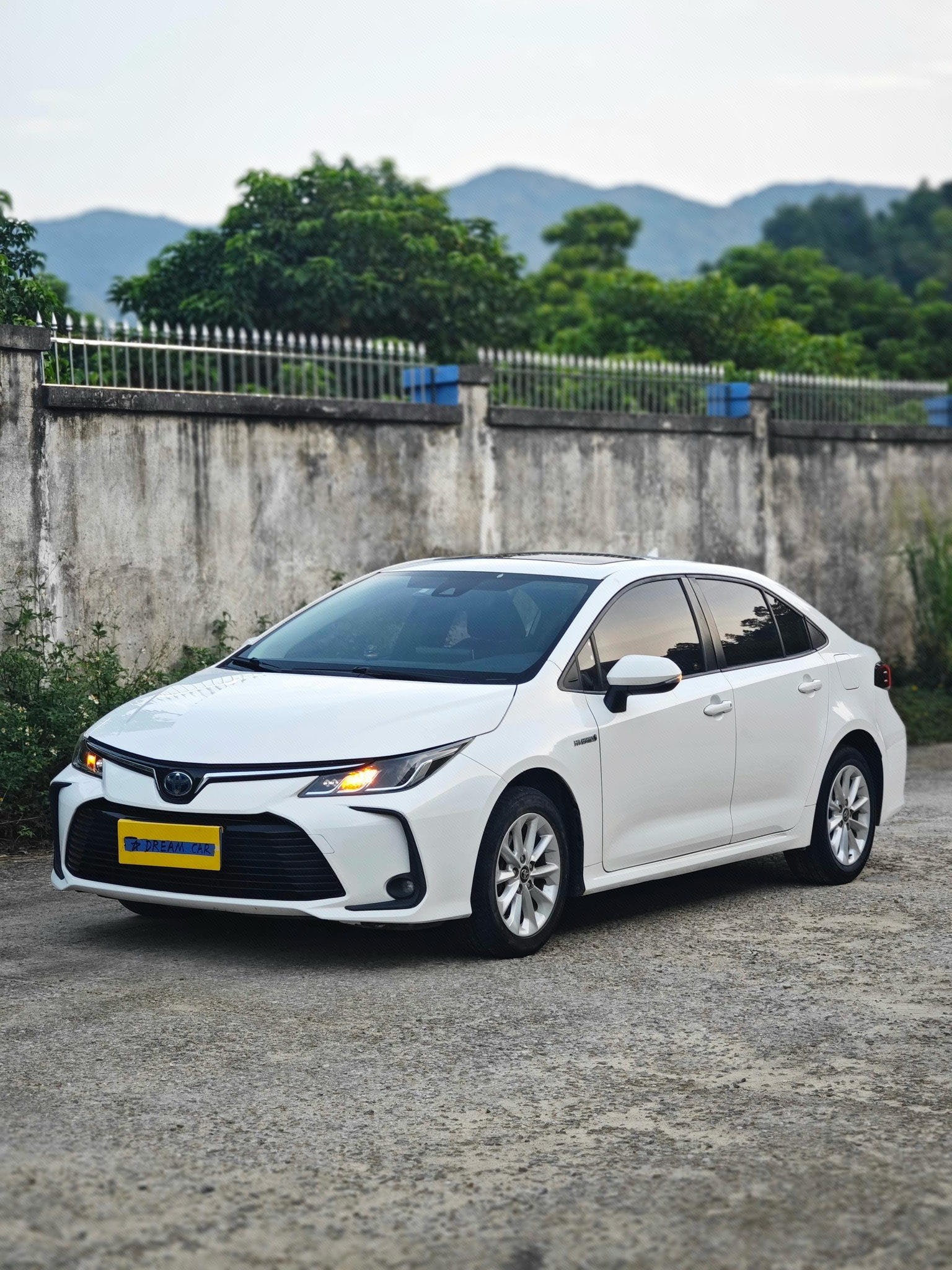Toyota Corolla 2019 Toyota Corolla 2019 car image