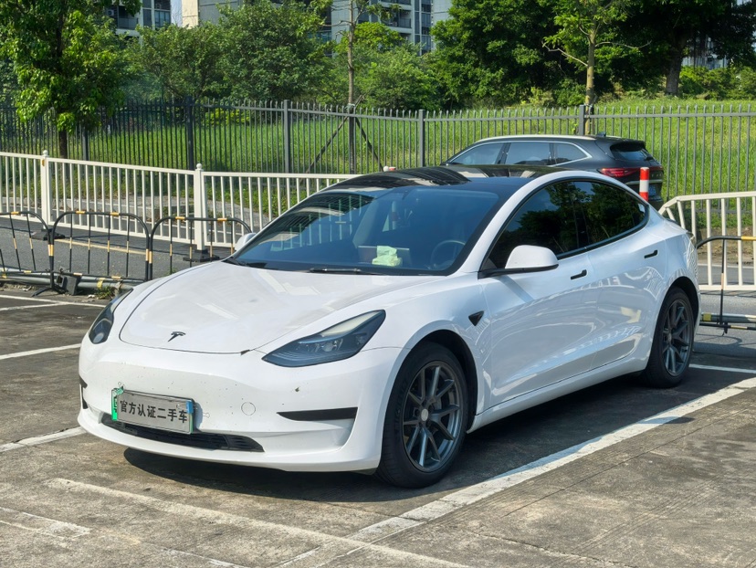 Tesla Model 3 2021 car image 