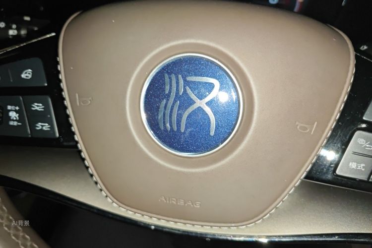 BYD Han 2021 #10 BYD Han 2021 immagine di auto #10
